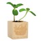 Pflanz-Holz - Standardmotiv - Sonnenblume - 1 Seite gelasert