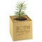 Pflanz-Holz Star-Box mit Samen