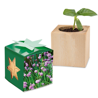 Pflanz-Holz Star-Box mit Samen - Schnittlauch, 1 Seite gelasert