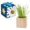 Pflanz-Holz Maxi Star-Box mit Samen
