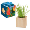 Pflanz-Holz Maxi Star-Box mit Samen