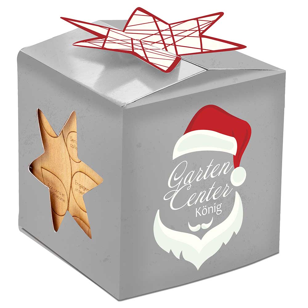 Pflanz-Holz Büro Star-Box mit Samen - Glücksklee-Zwiebel, 2 Seiten gelasert (* Je nach Verfügbarkeit der Glücksklee-Zwiebeln)