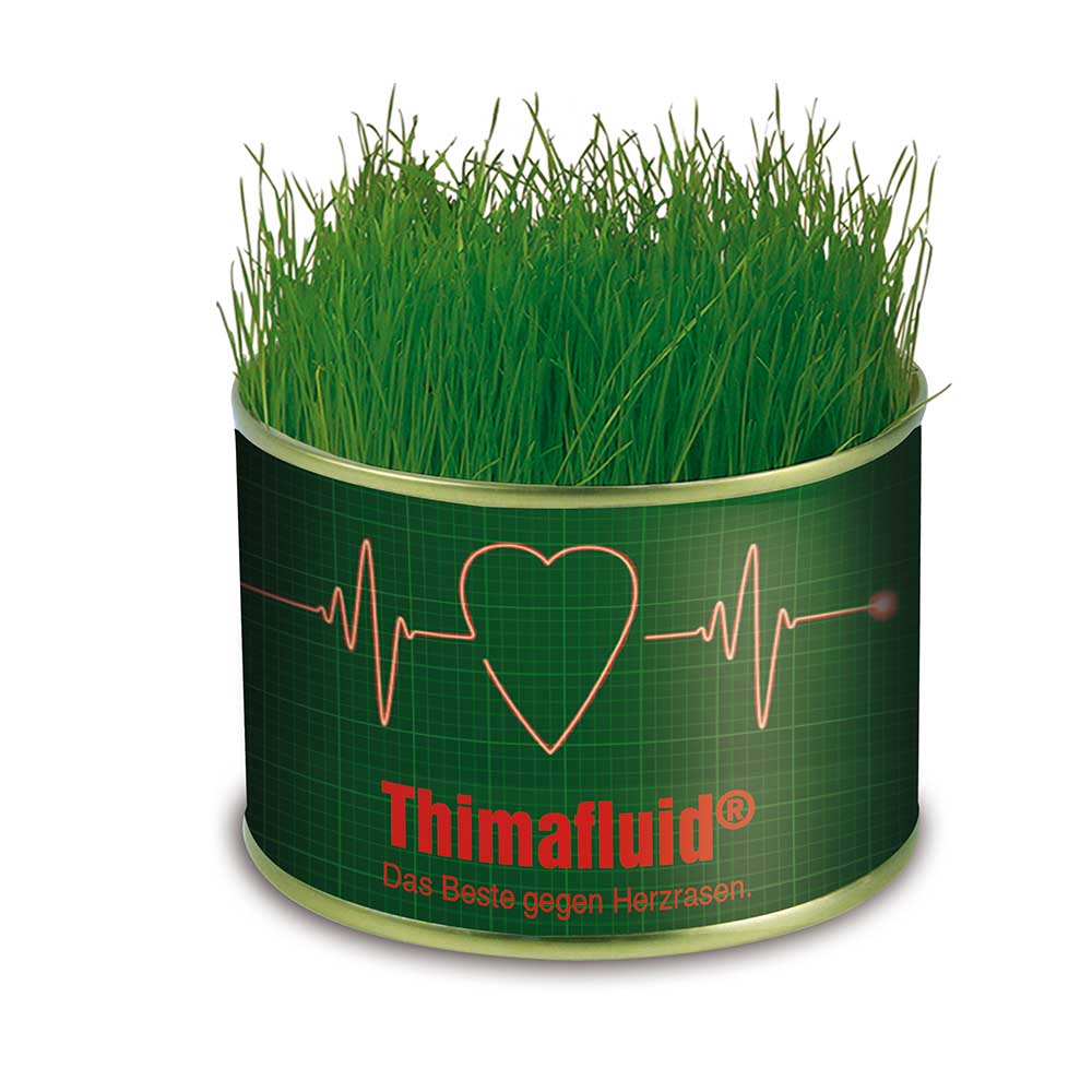 Natur-Konserve mit Samen - Sonnenblume