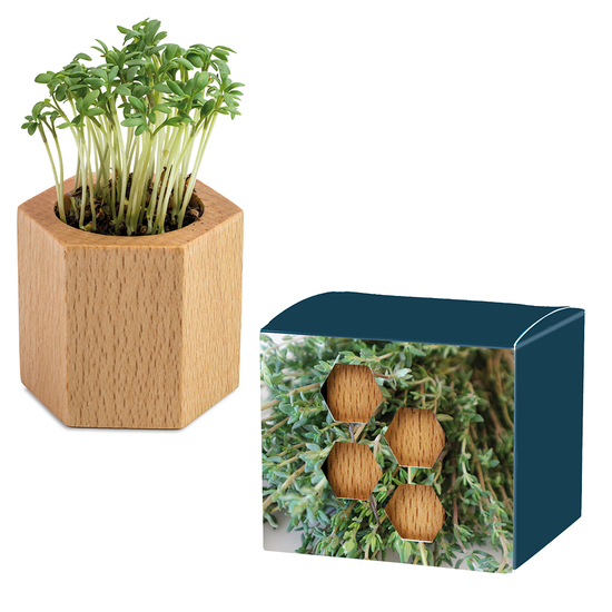 Pflanz-Holz Hexagon mit Samen