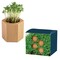 Pflanz-Holz Hexagon mit Samen - Gartenkresse