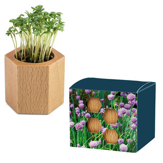 Pflanz-Holz Hexagon mit Samen - Schnittlauch