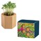 Pflanz-Holz Hexagon mit Samen - Sommerblumenmischung