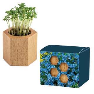 Pflanz-Holz Hexagon mit Samen - Vergissmeinnicht