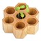 Pflanz-Holz Hexagon mit Samen - Margerite, 1 Seite gelasert