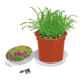 Florero-Töpfchen mit Samen - terracotta - Sommerblumenmischung