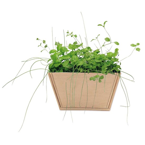 Mini-Beet mit Samen - Gartenkresse, 1 Seite gelasert