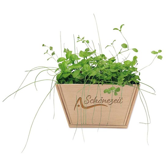 Mini-Beet mit Samen - Ringelblume, Lasergravur