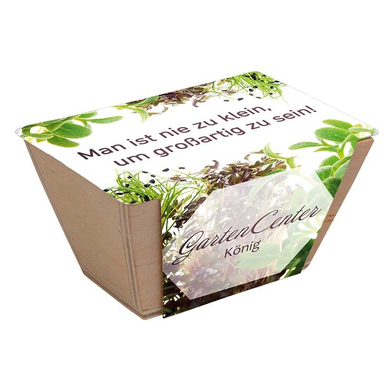 Mini-Beet mit Samen - Schnittlauch, Lasergravur