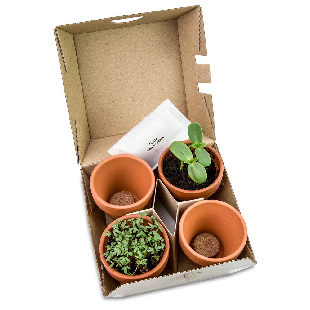 Pflanzen-Mix Winter-Set - mit Digitaldruck