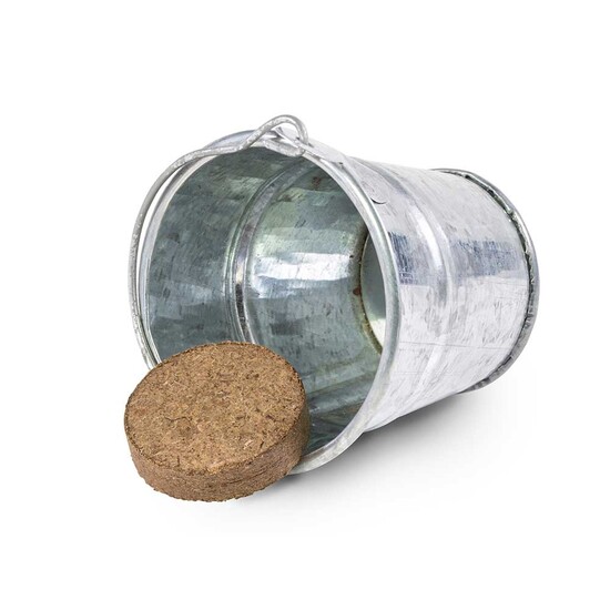 Pflanzeimerchen mit Samen - Glücksklee-Zwiebel (* Je nach Verfügbarkeit der Glücksklee-Zwiebeln)