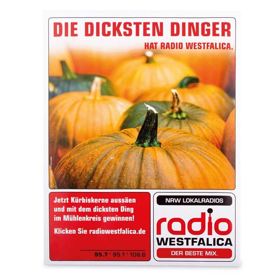 Samentütchen Groß - Standardpapier - Sonnenblume