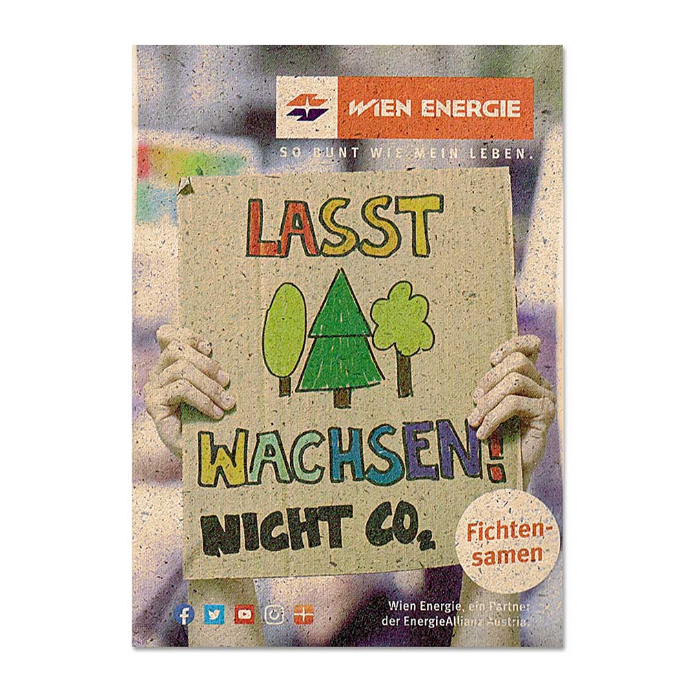 Samentütchen Mini - Graspapier - Sonnenblumen