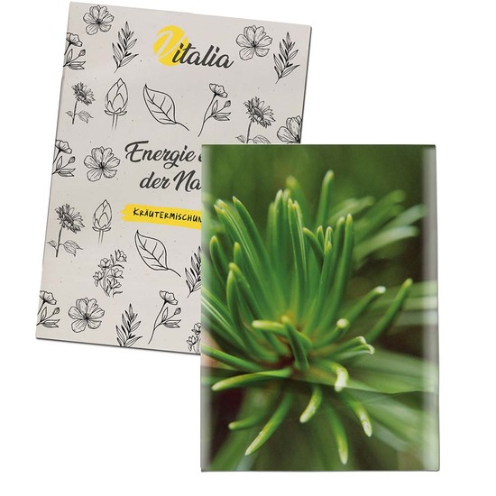 Samentütchen Mini - Recyclingpapier - Fichte