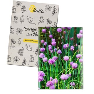 Samentütchen Mini - Recyclingpapier - Schnittlauch