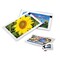 Samen-Briefchen - Sonnenblumen