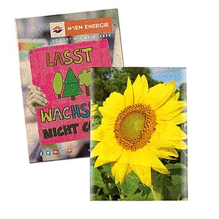 Samentütchen Klein - Graspapier - Sonnenblumen