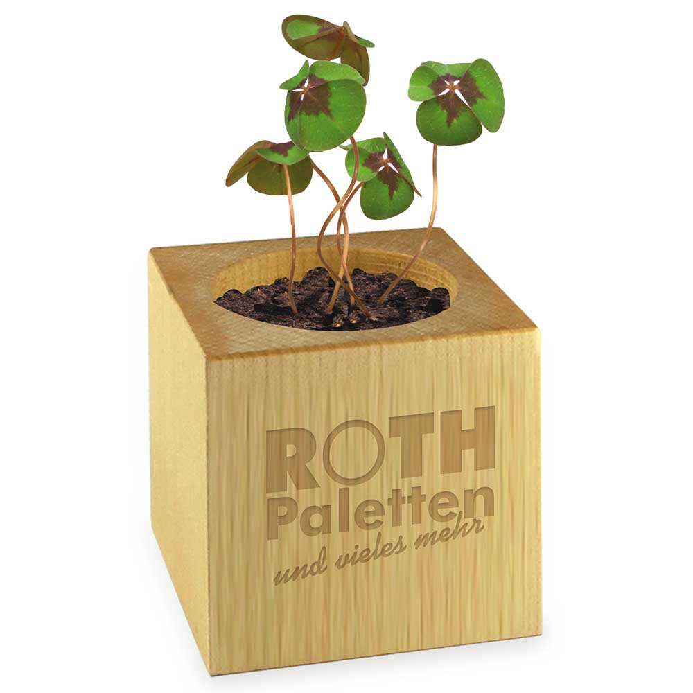 Pflanz-Holz - Standardmotiv - Glücksklee ohne Lasergravur - ohne Lasergravur (* Je nach Verfügbarkeit der Glücksklee-Zwiebeln)