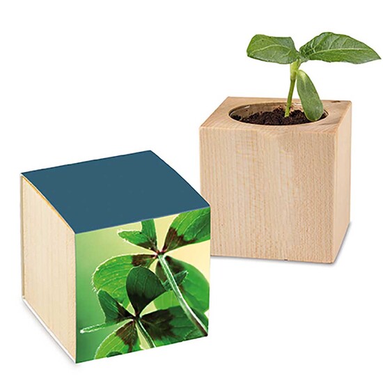 Pflanz-Holz Glücksklee - ohne Lasergravur (* Je nach Verfügbarkeit der Glücksklee-Zwiebeln)