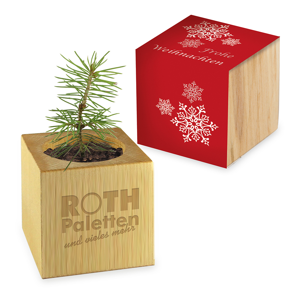 Pflanz-Holz - Standardmotiv - Frohe Weihnachten