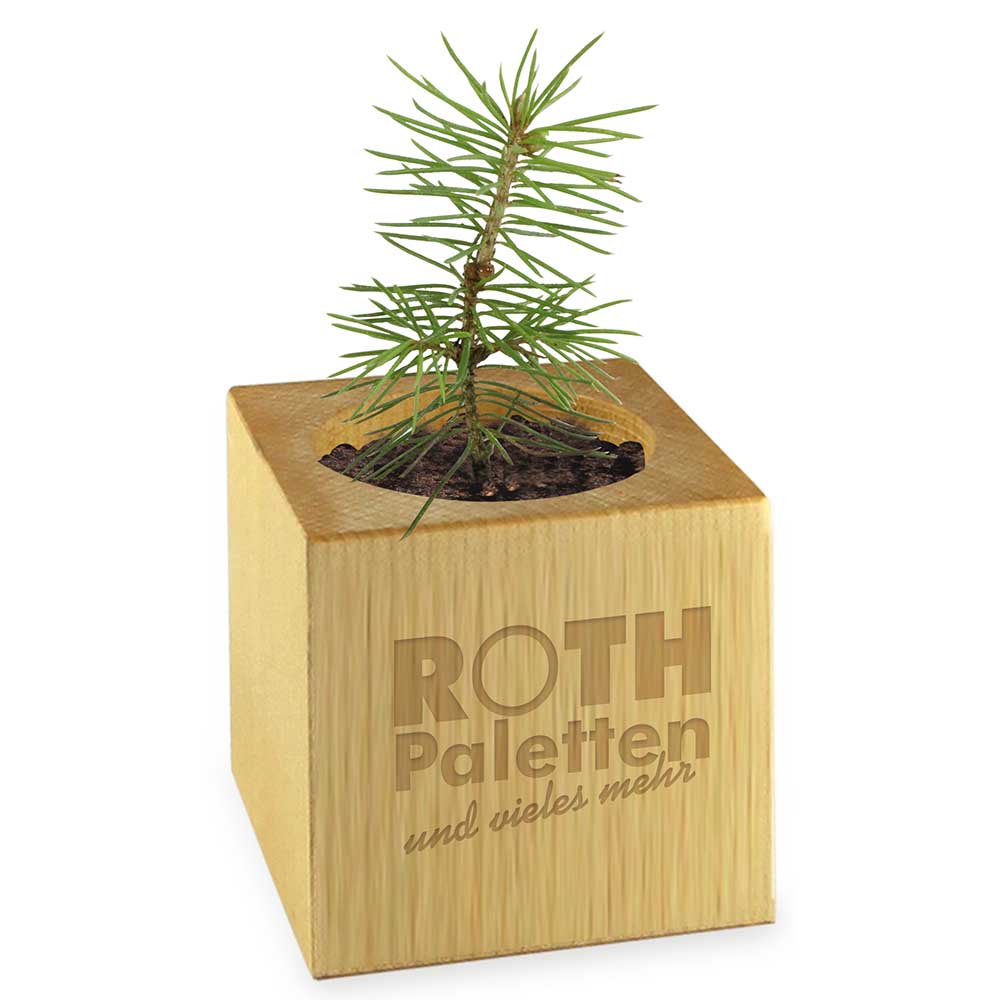 Pflanz-Holz - Standardmotiv - Frohe Weihnachten - ohne Lasergravur