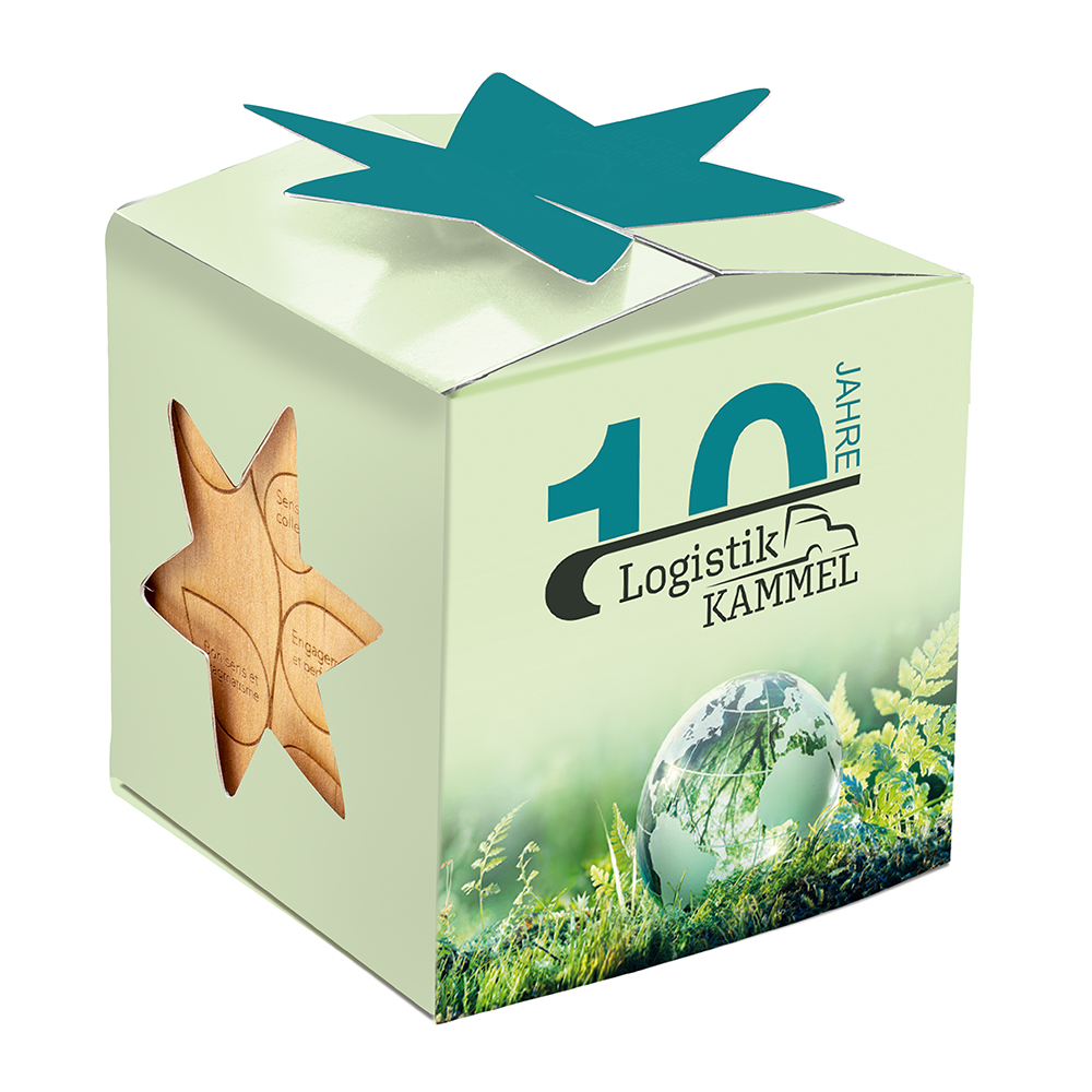 Pflanz-Holz Star-Box Xmas mit Fichtensamen
