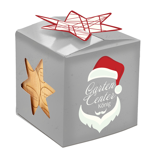 Pflanz-Holz Büro Star-Box Xmas mit Fichtensamen