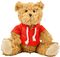 Plüsch-Teddybär Monty