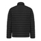 IQONIQ Maiko Herren Steppjacke aus recyceltem Polyester