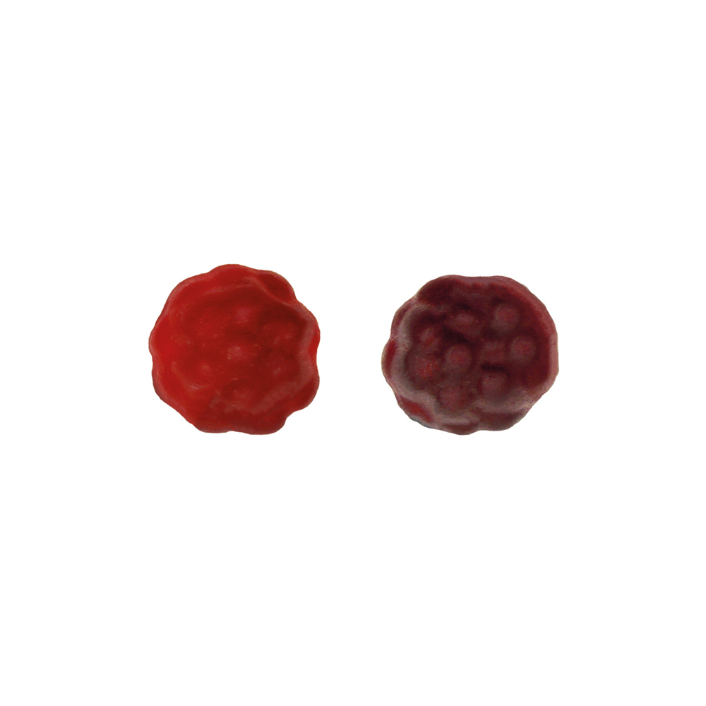 BIO Beerenfrüchtchen vegan Werbetüte, Inhalt: BIO Beerenfrüchtchen vegan