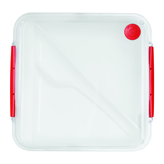 Lunchbox DELICIOUS 56-0306025