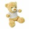 Plüsch-Bär ALEXANDER mit weißem T-Shirt (separat gepackt) 56-0502243