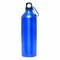 Aluminium-Trinkflasche BIG TRANSIT 56-0603133