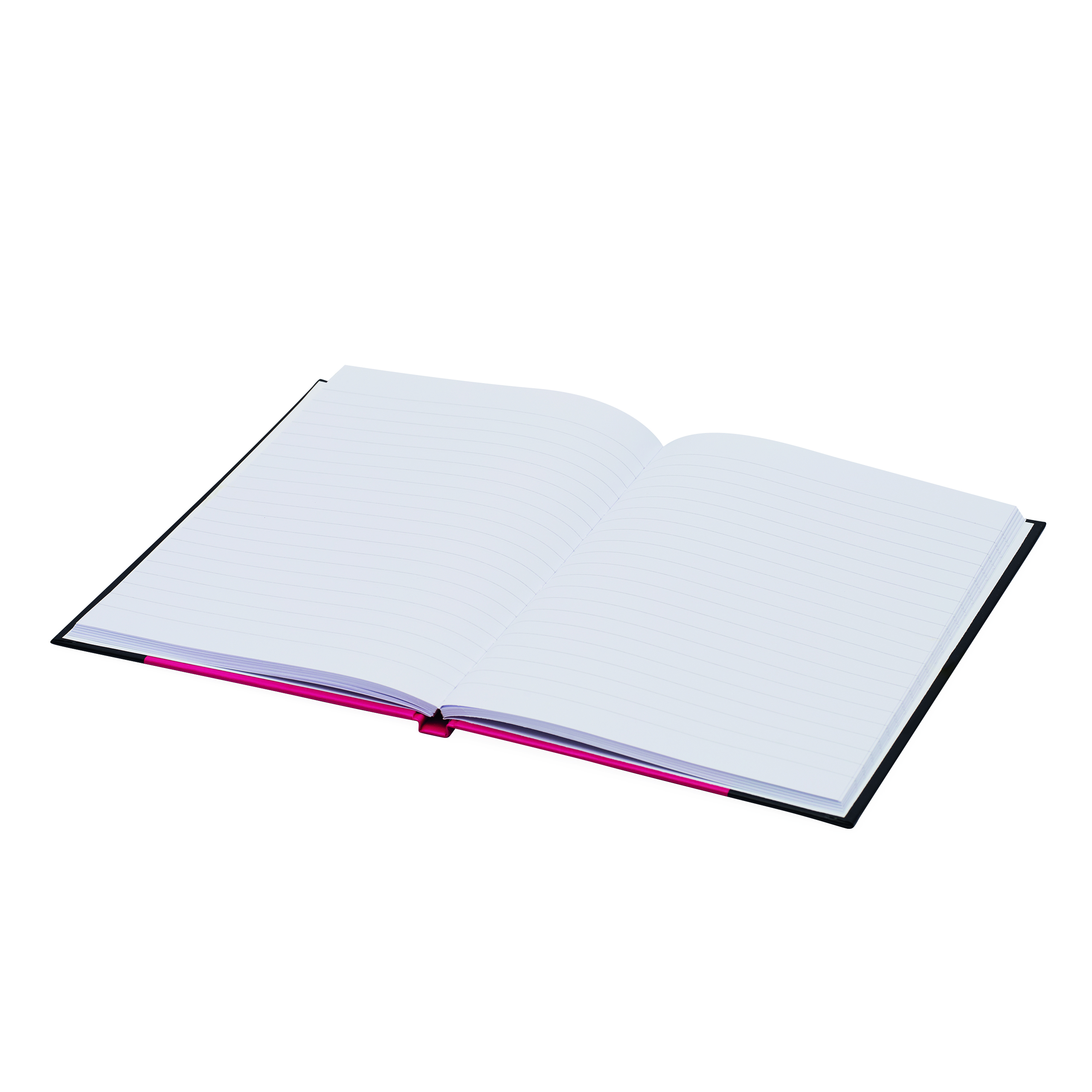 Notizbuch SIGNUM im DIN-A5-Format 56-1103326