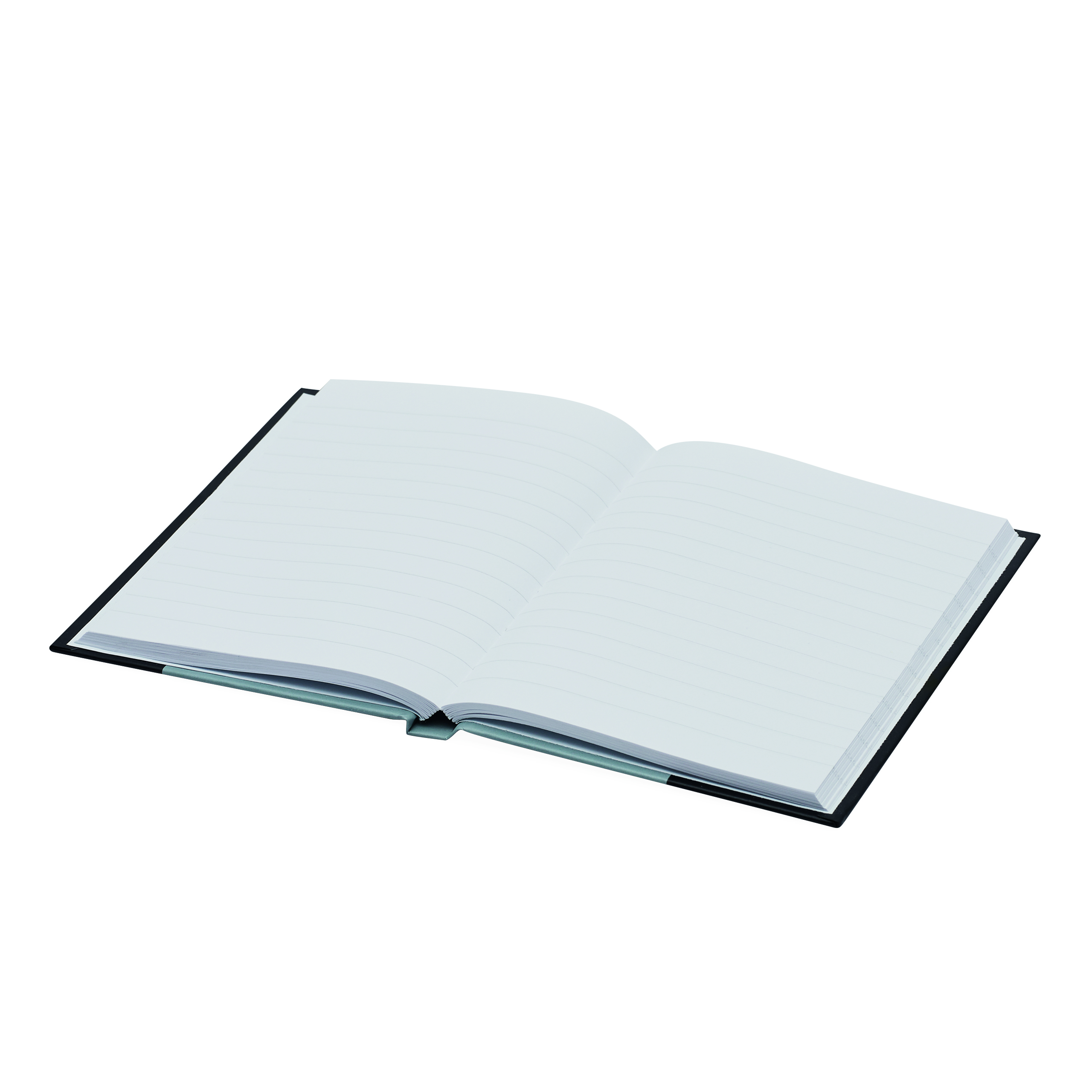 Notizbuch SIGNUM im DIN-A6-Format 56-1103327