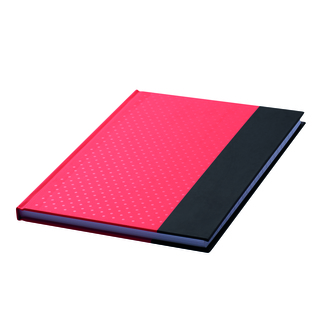Notizbuch SIGNUM im DIN-A6-Format 56-1103329