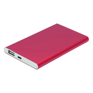 Powerbank ENDURANCE EVOLUTION 56-1107287