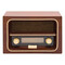 AM/FM-Radio RECEIVER