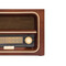 AM/FM-Radio RECEIVER