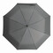Vollautomatischer Windproof-Taschenschirm CALYPSO, grau