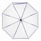 Automatischer Windproof-Stockschirm VIP, blau, transparent