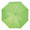 Automatik-Stockschirm LIPSI, hellgrün