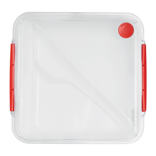 Lunchbox DELICIOUS, rot, weiß