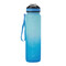 Sport-Trinkflasche HYDRO LEVEL, blau