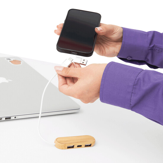 USB Hub MULTIPLIER, braun