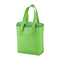 Kühltasche